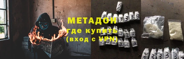 прущие грибы Балабаново