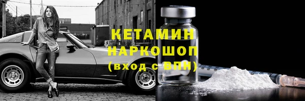 прущие грибы Балабаново