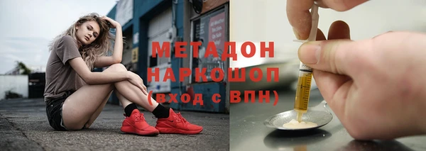прущие грибы Балабаново