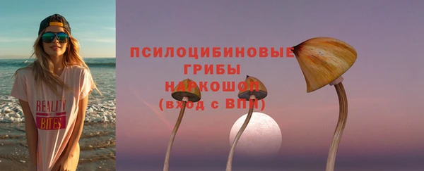 ГАЛЛЮЦИНОГЕННЫЕ ГРИБЫ Аркадак