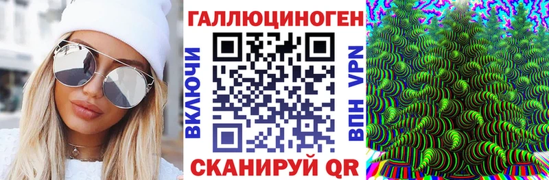 наркота  Курчатов  Галлюциногенные грибы Psilocybine cubensis 
